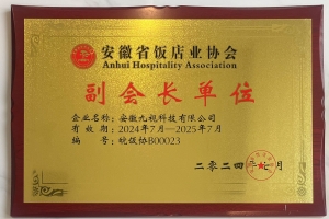 九视科技-荣誉与肯定